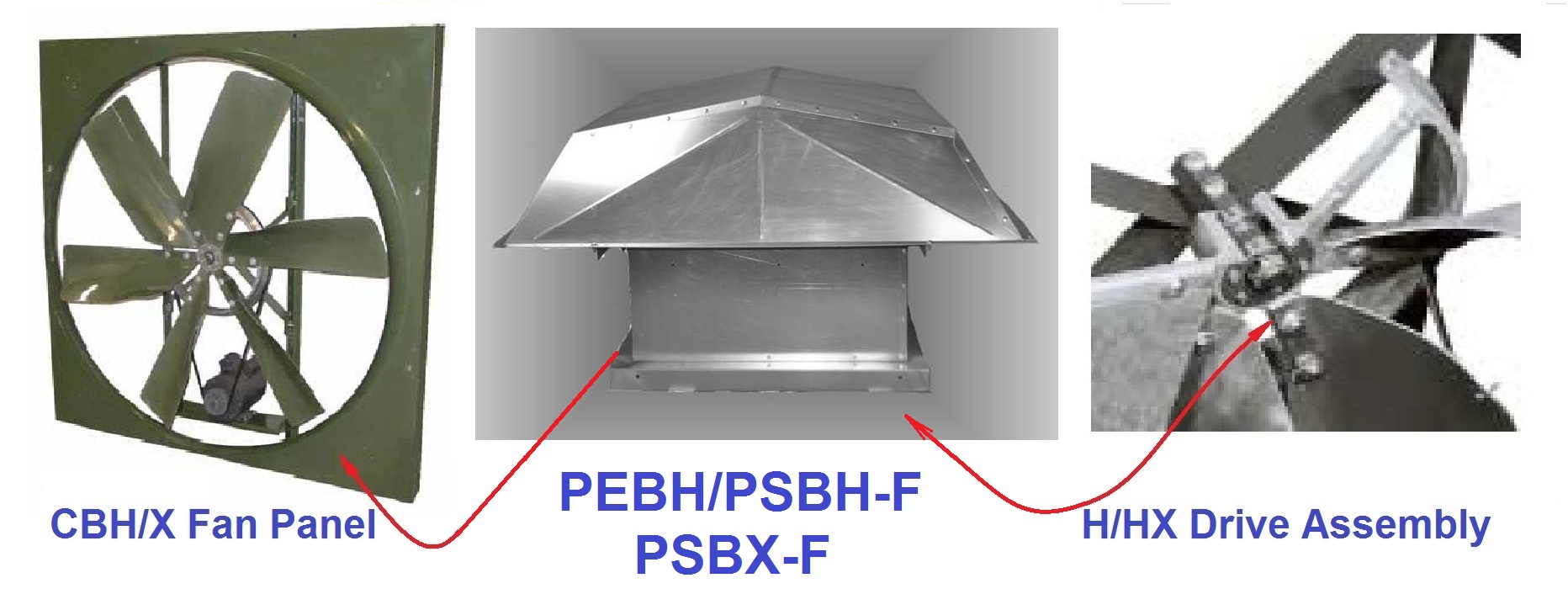 Filtered air supply roof fan